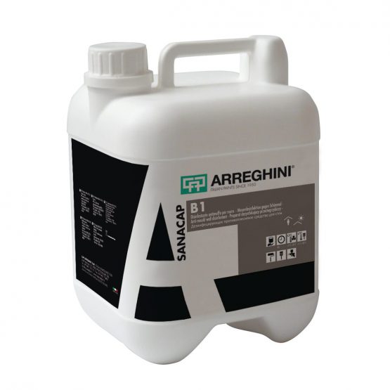 SANACAP B1 - 1 LT Antimuffa per superfici murali interne ed esterne
