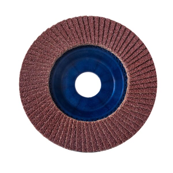 DISCO RADIALE LAMELLARE DIAM. 115 GR. 80 - INOX